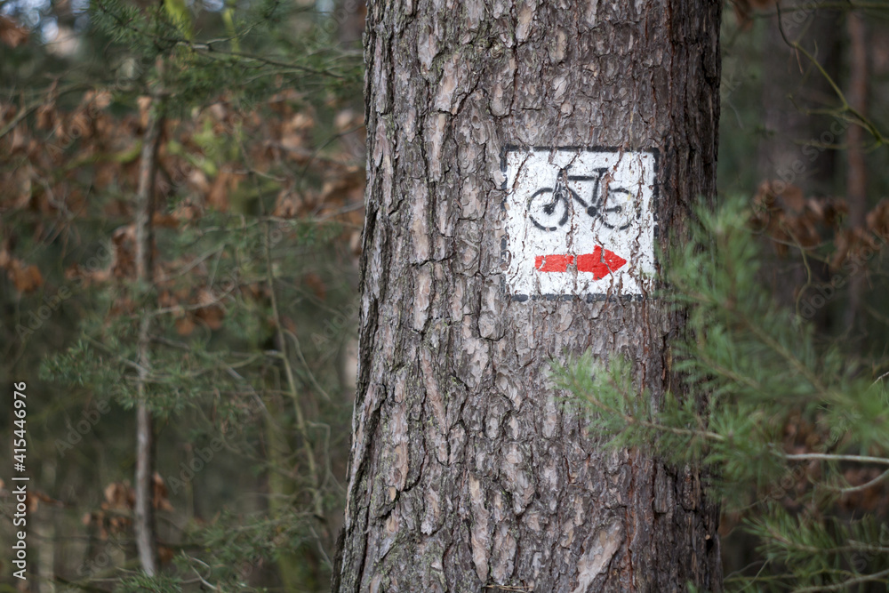 Fototapeta premium Znak piktogram czerwony szlak rowerowy