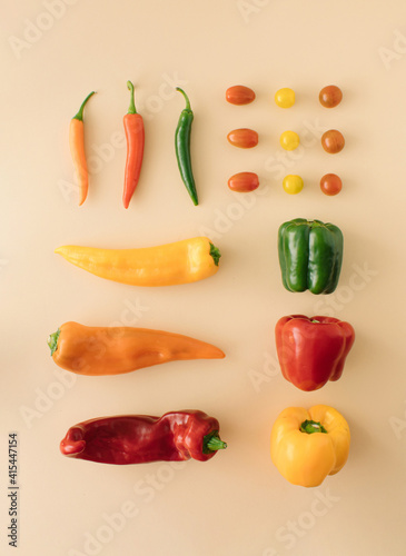Fresh jucy vegetables. Fresh  paprika,chilli, fresh tomato various shapes and different species. red, green, orange. Healthy food. Healty cusine.  Minimal flat lay.