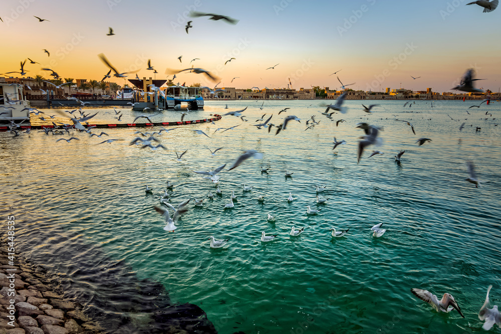 Beautiful shot of seagull birds on the blue water at Dubai Creek, United Arab Emirates.