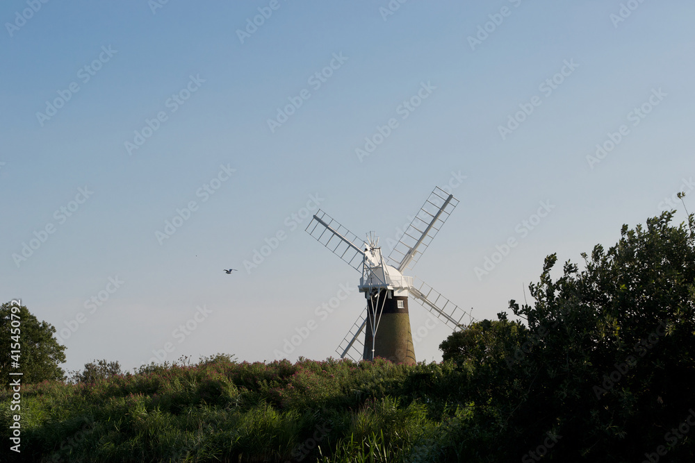 A rear view of a windmill (wind pump): tall traditional countryside building, surrounded by trees and bushes, with a bird in flight