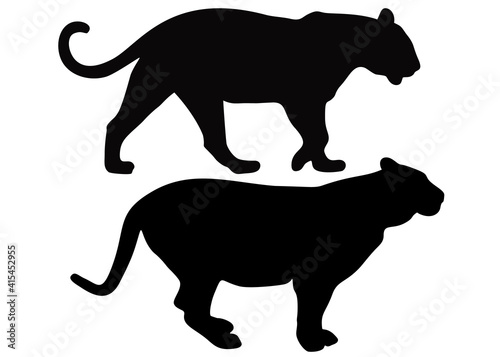 Tigers in the set. Wild animals.