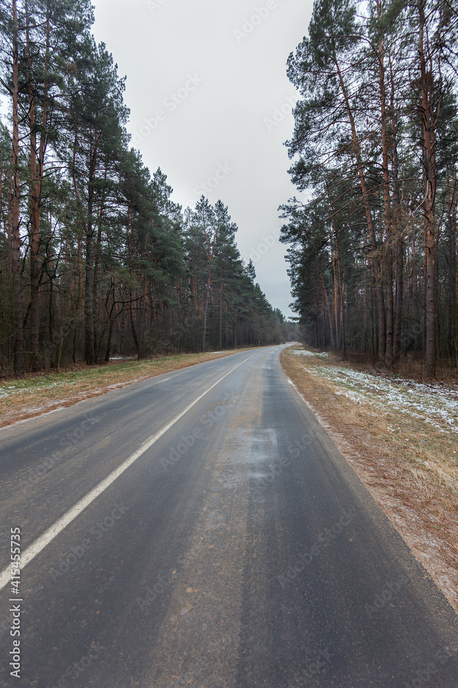 Autumn road, yellow trees, fallen leaves. Track in the forest. Autumn road, yellow trees, fallen leaves. Track in the forest.