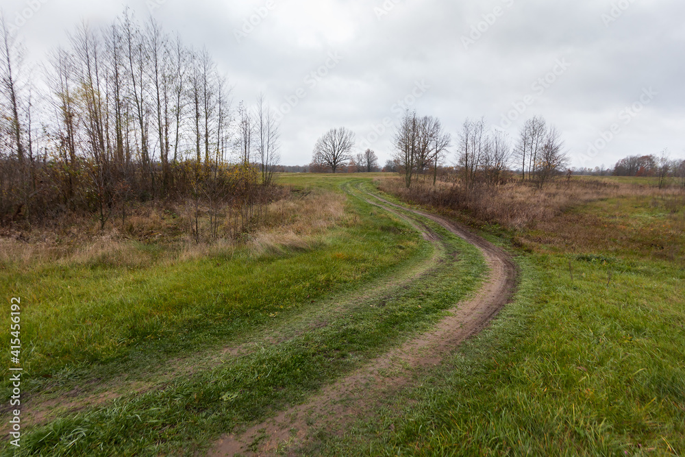 Autumn road, yellow trees, fallen leaves. Track in the forest.