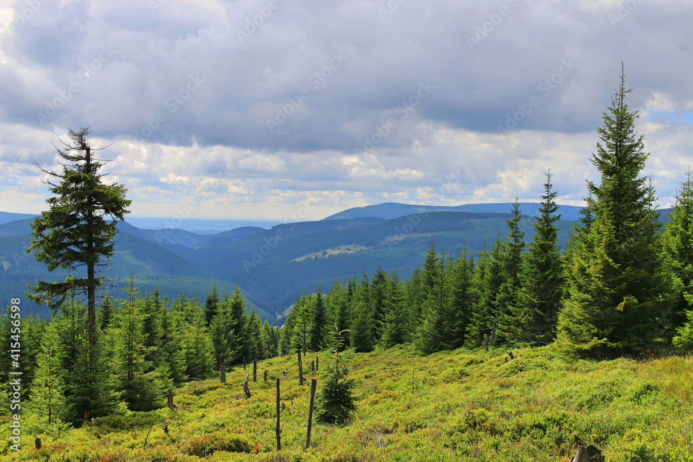 View of the Karkonosze (Giant Mountains) in summer. Lush green grasses and trees. Cloudy sky over the mountains in the Karkonosze National Park. 