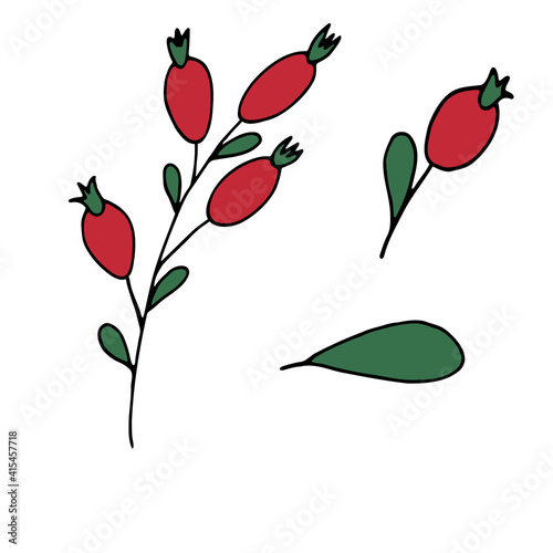 Rosehip, red berry set. Green leaf. Branch with red berries. Vector. Hand drawing.