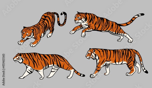 Tiger jump  walking. Set of hand drawn vector skech. Outline illustration.