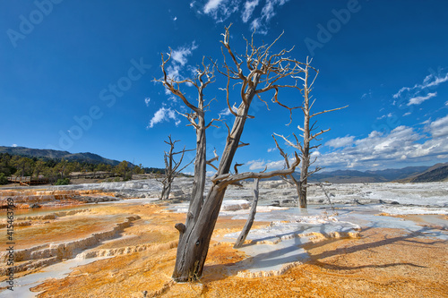 Mammoth Hot Springs in Yellowstone National Park, Wyomig, USA photo