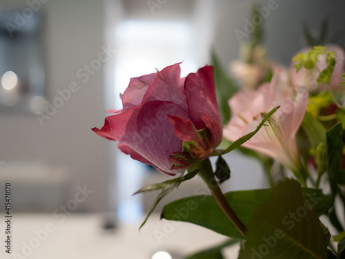 FREDDIE'S FLOWERS IN A VASE photo