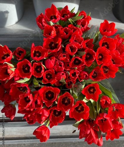 red tulipes bouquet