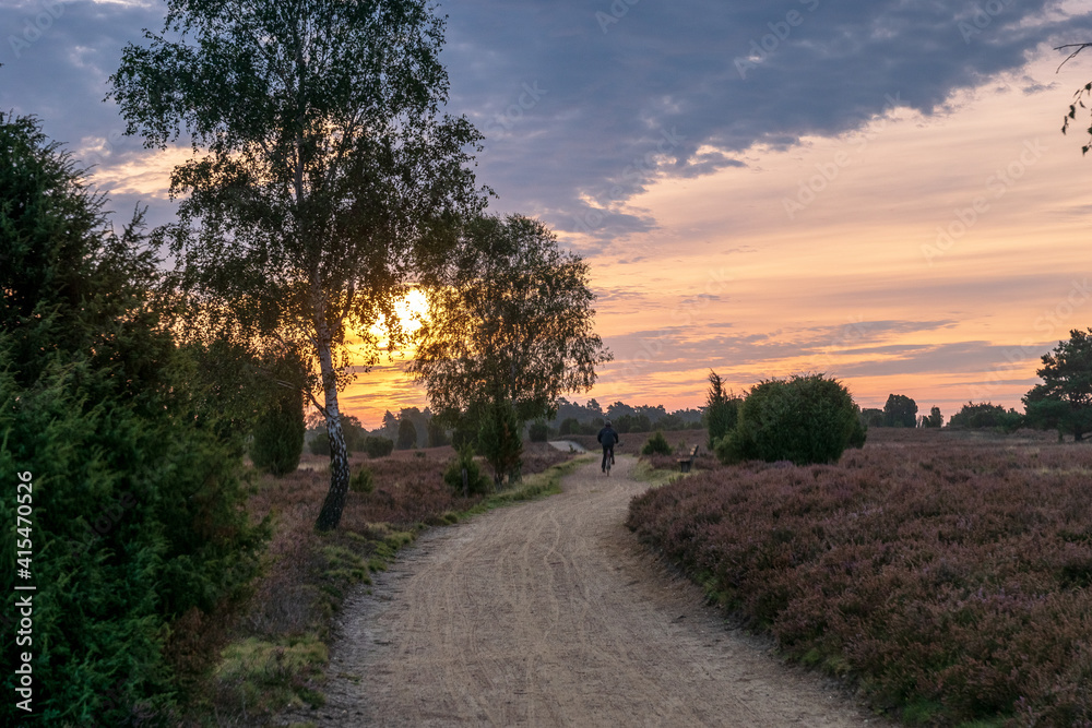 Obraz premium Lüneburger Heide