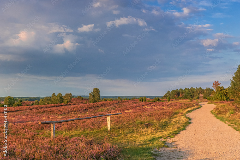 Fototapeta premium Lüneburger Heide