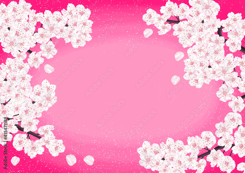 満開の桜の背景　鮮やかなピンク色
