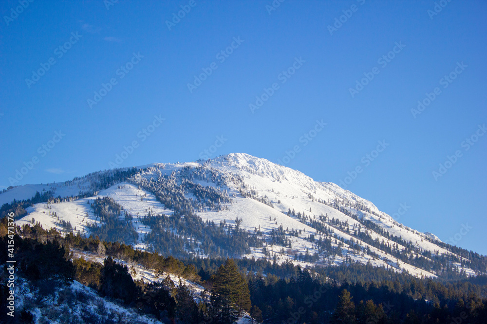 snow covered mountains