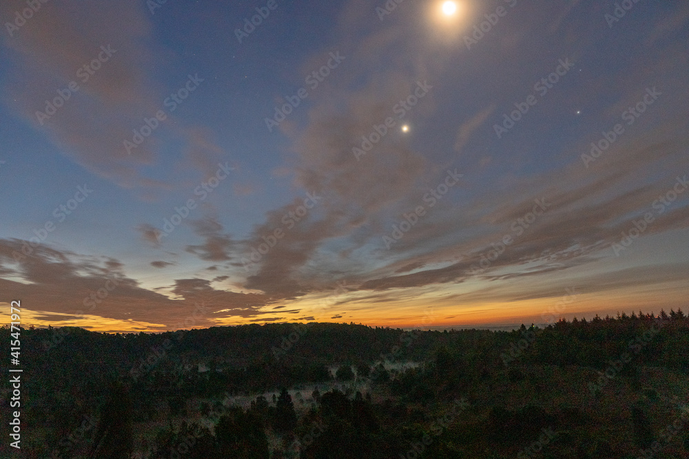 Obraz premium Lüneburger Heide
