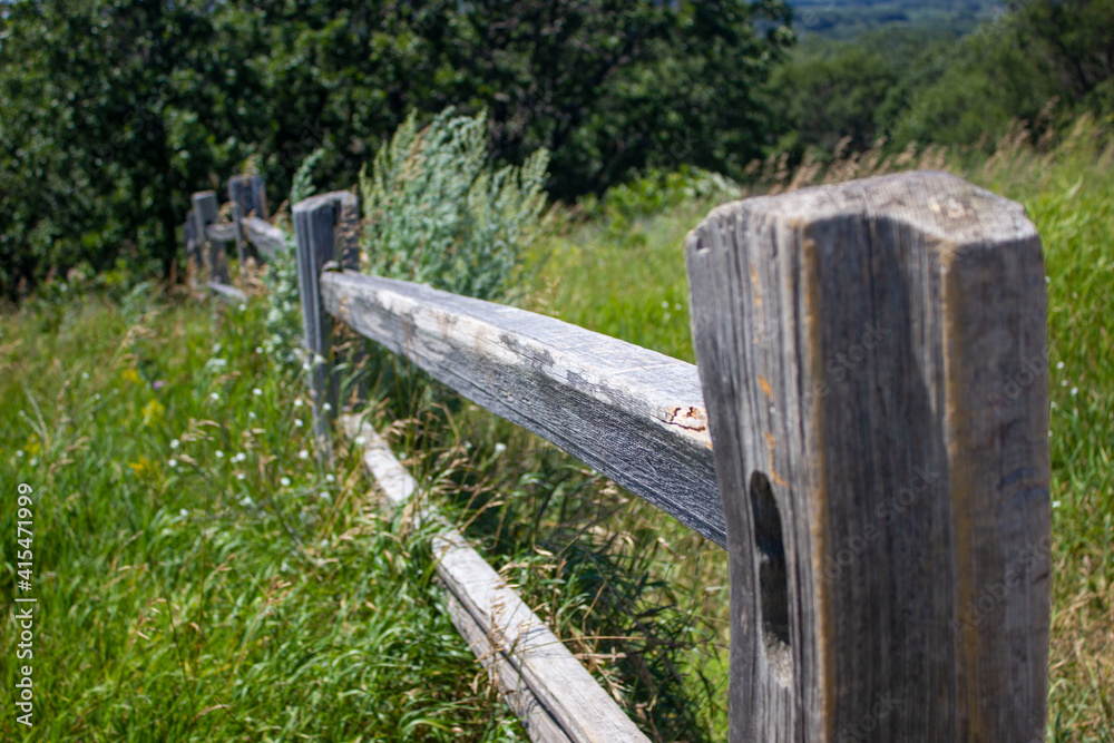 Naklejka premium wooden fence in the field