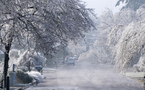 Residental street in Salem after a freezing rain ice storm, trees covered with ice