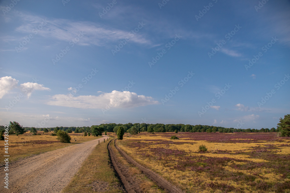 Obraz premium Lüneburger Heide