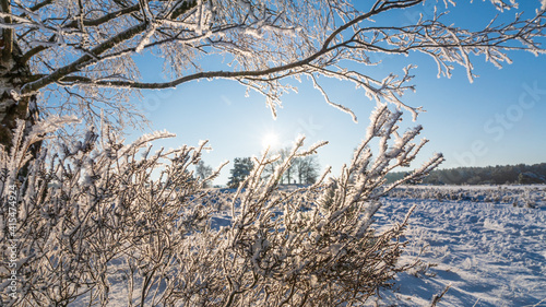 Lüneburger Heide