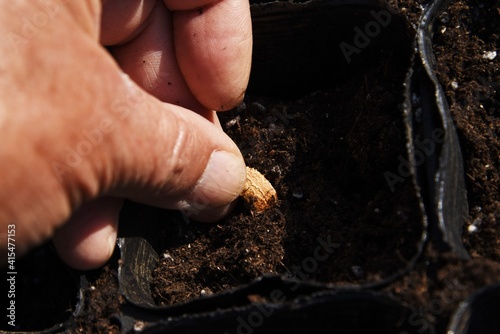 This and that of the work in the vegetable garden. From soil preparation to harvesting.