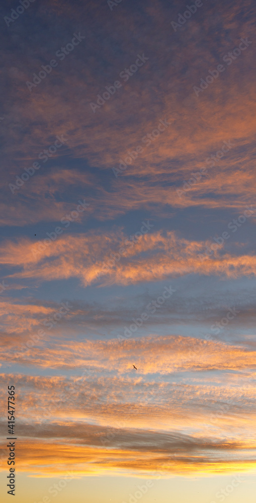 Clouds on the sunset sky