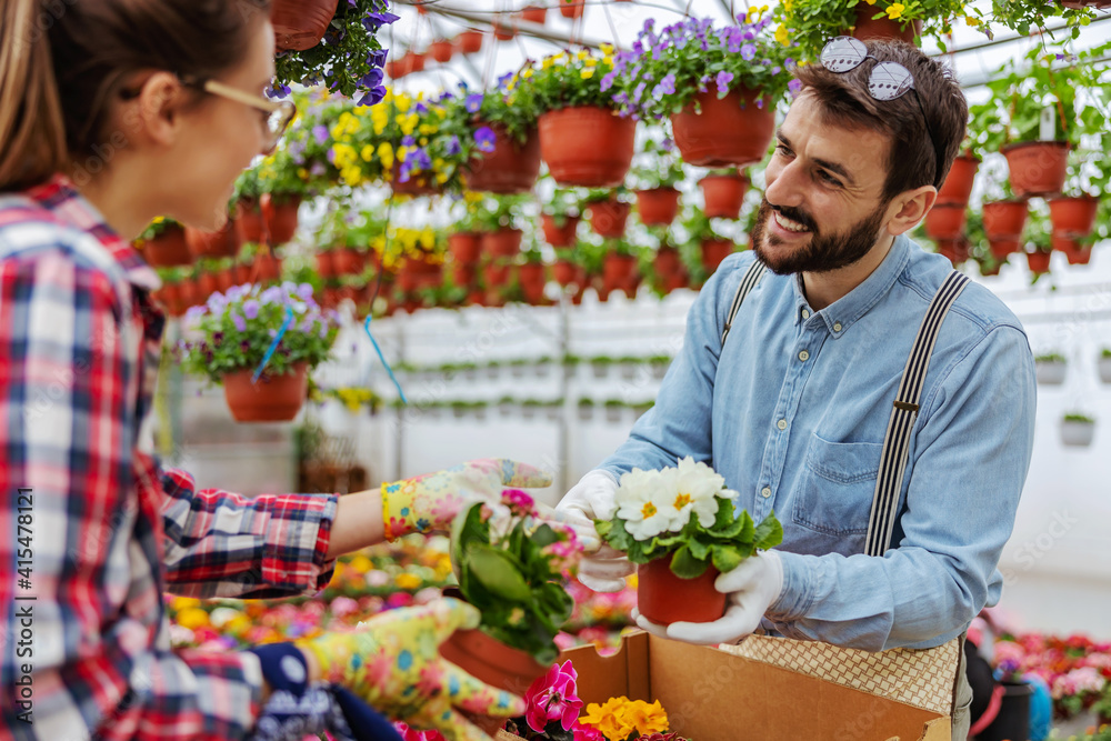 Smiling couple standing in greenhouse and taking flowers out of boxes. Smiling couple standing in greenhouse and taking flowers out of boxes.