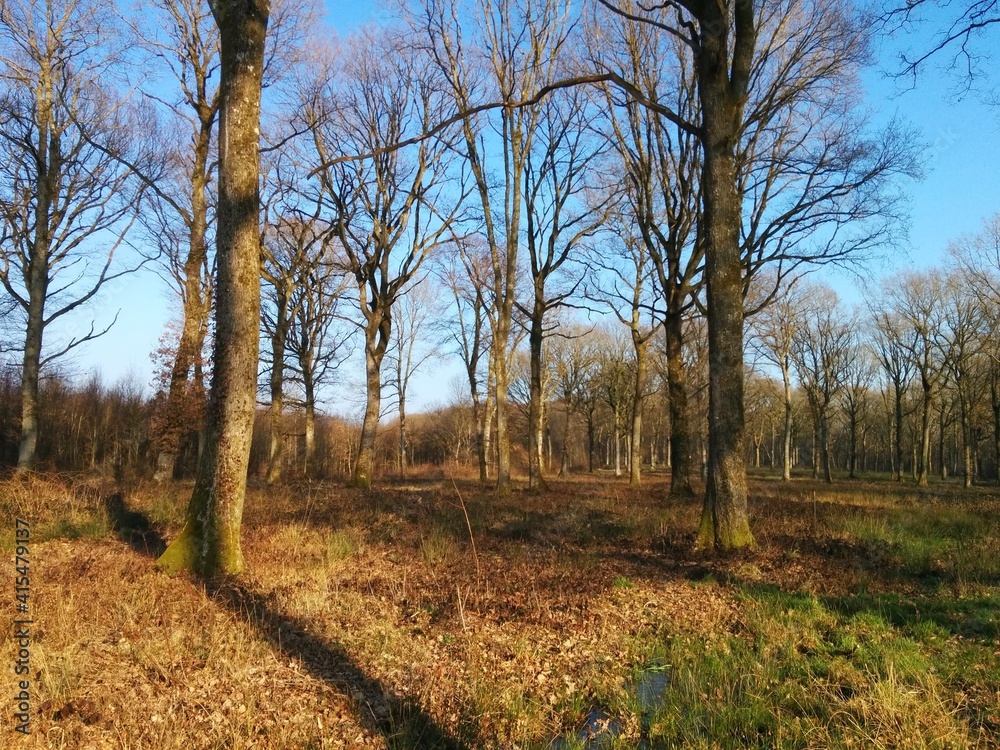 Winter in Burgundy's countryside, France - February 2015 Winter in Burgundy's countryside, France - February 2015
