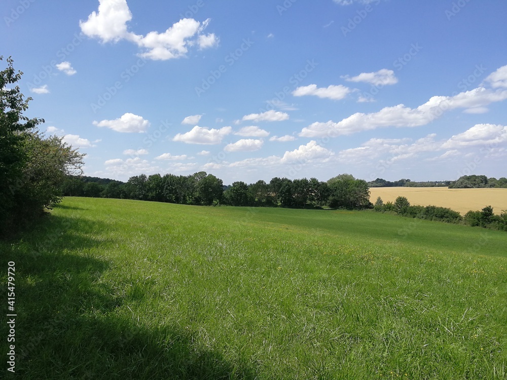 Summer in Burgundy's countryside, France - July 2019 Summer in Burgundy's countryside, France - July 2019
