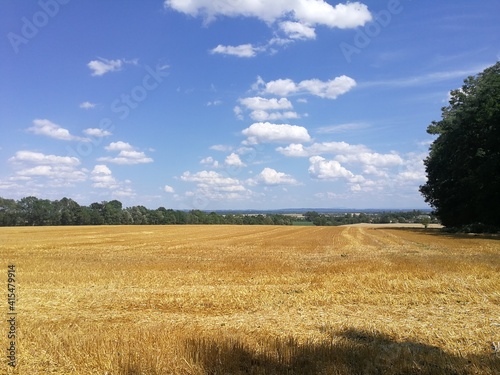 Summer in Burgundy s countryside  France - July 2019