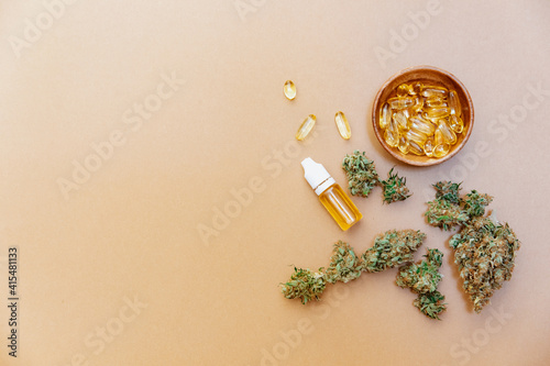 CBD Hemp Oil with Marijuana Buds photo