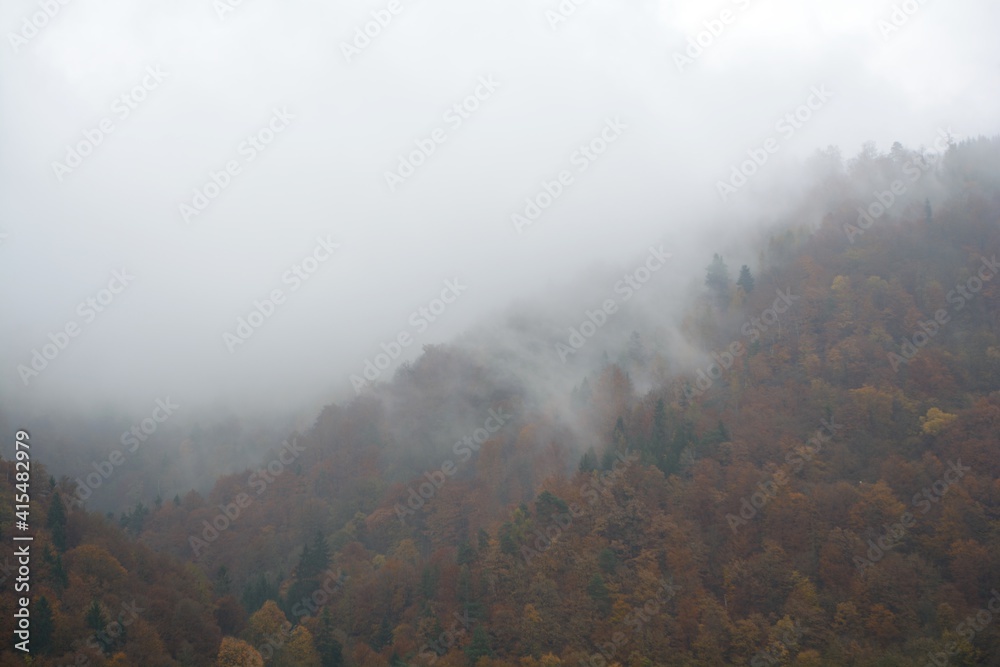Fototapeta premium Hilly Colored Autumn Forest With Fog Ascending