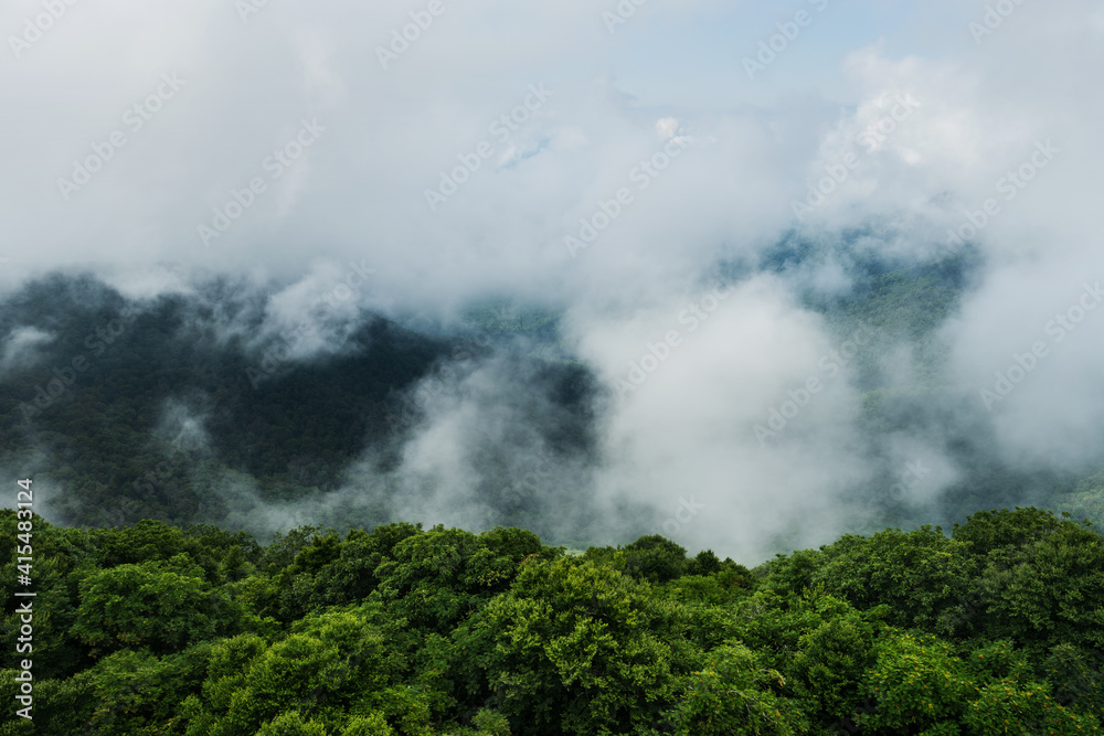 Shenandoah National Park, Virginia, United States Shenandoah National Park, Virginia, United States