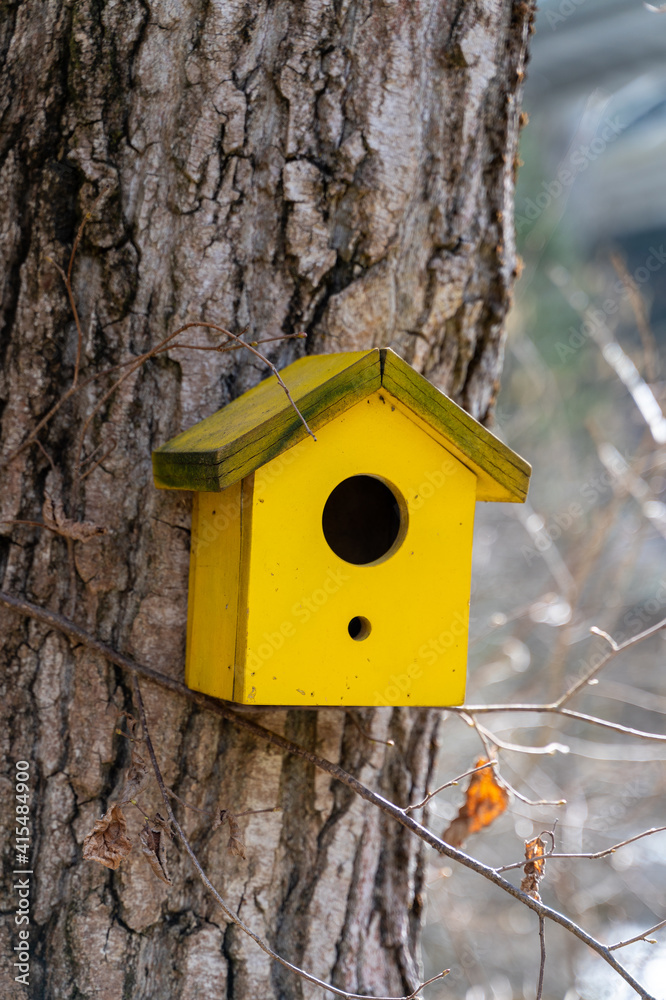 colorful bird house hanging from a tree trunk in the park