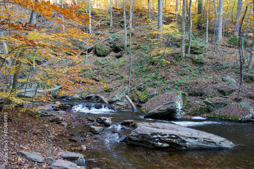 Fototapeta Naklejka Na Ścianę i Meble -  Wooded stream
