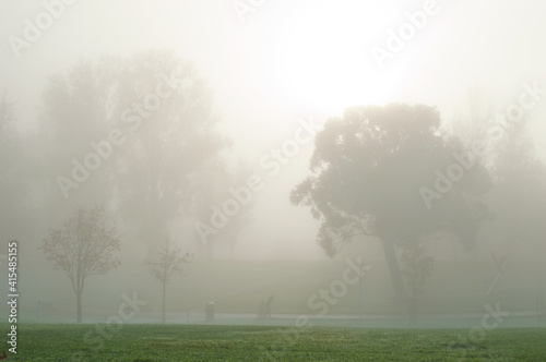 fog, mist,difuse light,public,park,at,dawn,