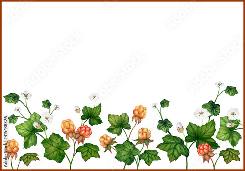 Watercolor border with cloudberry photo