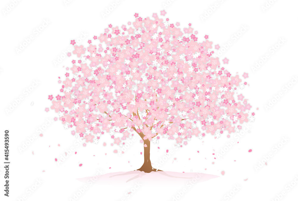 Obraz premium 桜の木