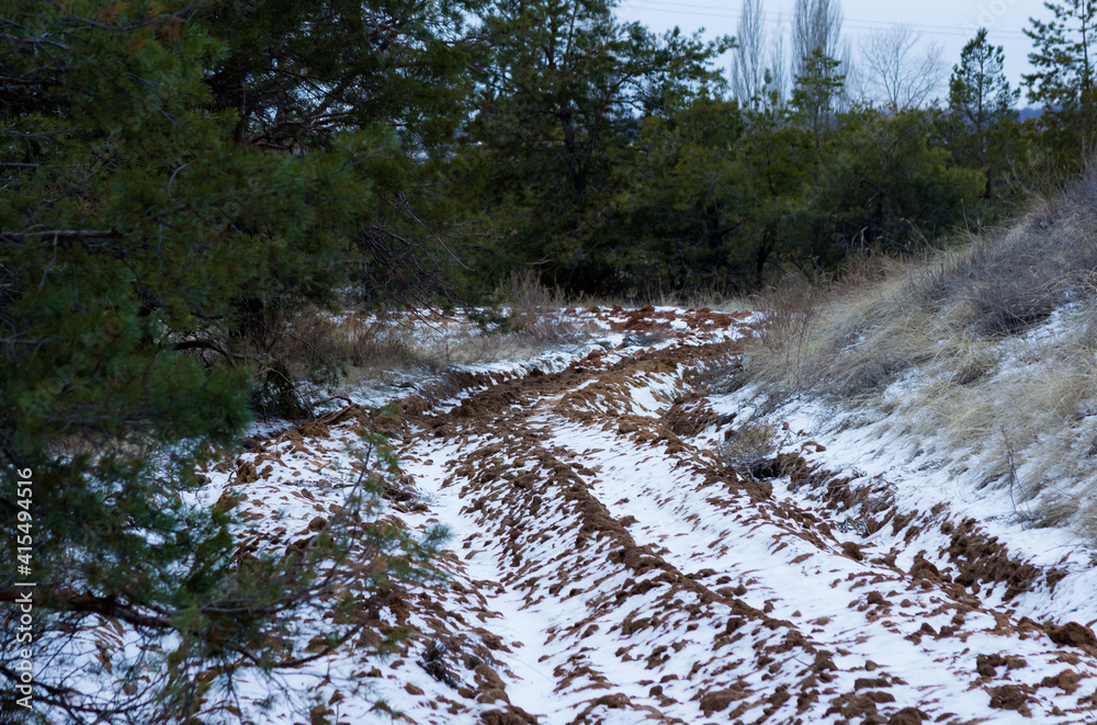 Fototapeta premium Path through a darkness calm snowy coniferous forest on a dark winter evening
