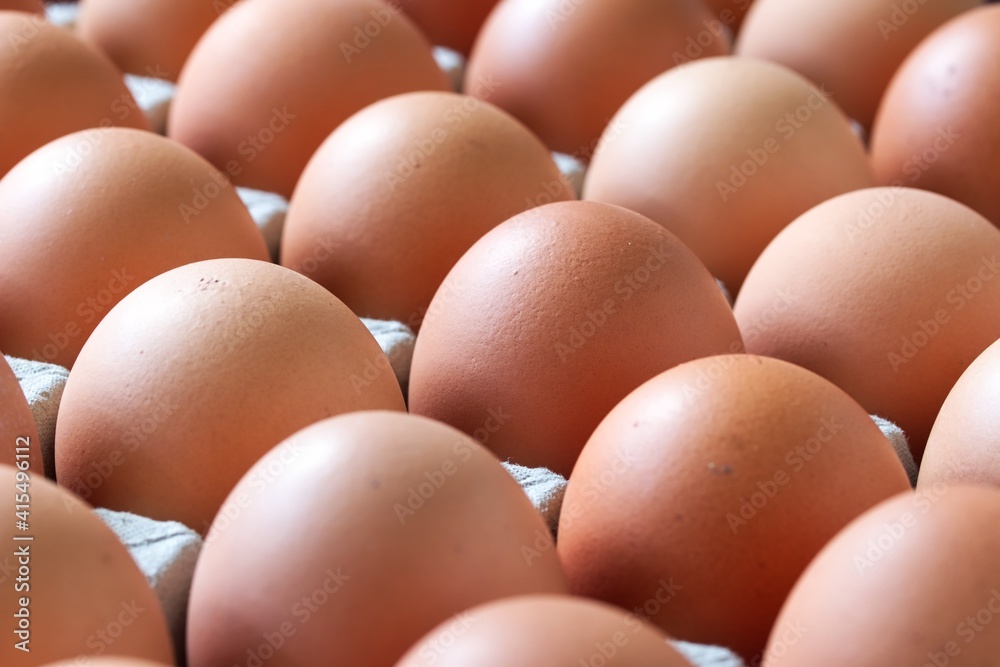 A close up shot of some fresh farm eggs on a cardboard egg tray. A close up shot of some fresh farm eggs on a cardboard egg tray.