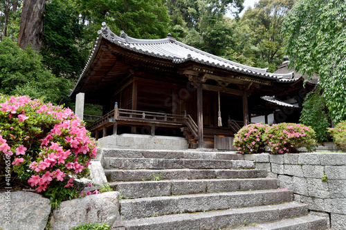 金剛寺　薬師堂　大阪府河内長野市 © ogurisu