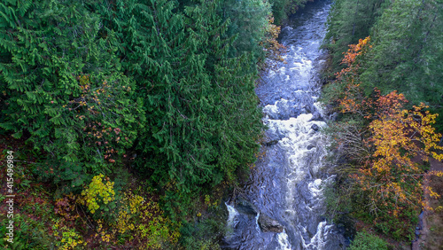 Koksilah River seen from Kinsol Trestle, Vancouver Island. BC, Canada photo