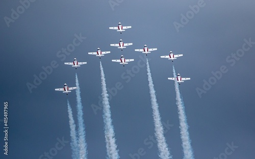 Canadian Snowbirds