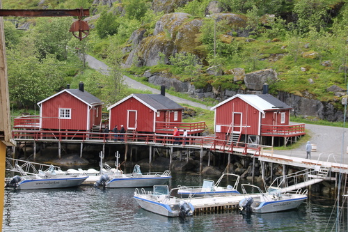 boats in the harbor