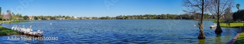 Spring of Lake Morton at city center of lakeland Florida
