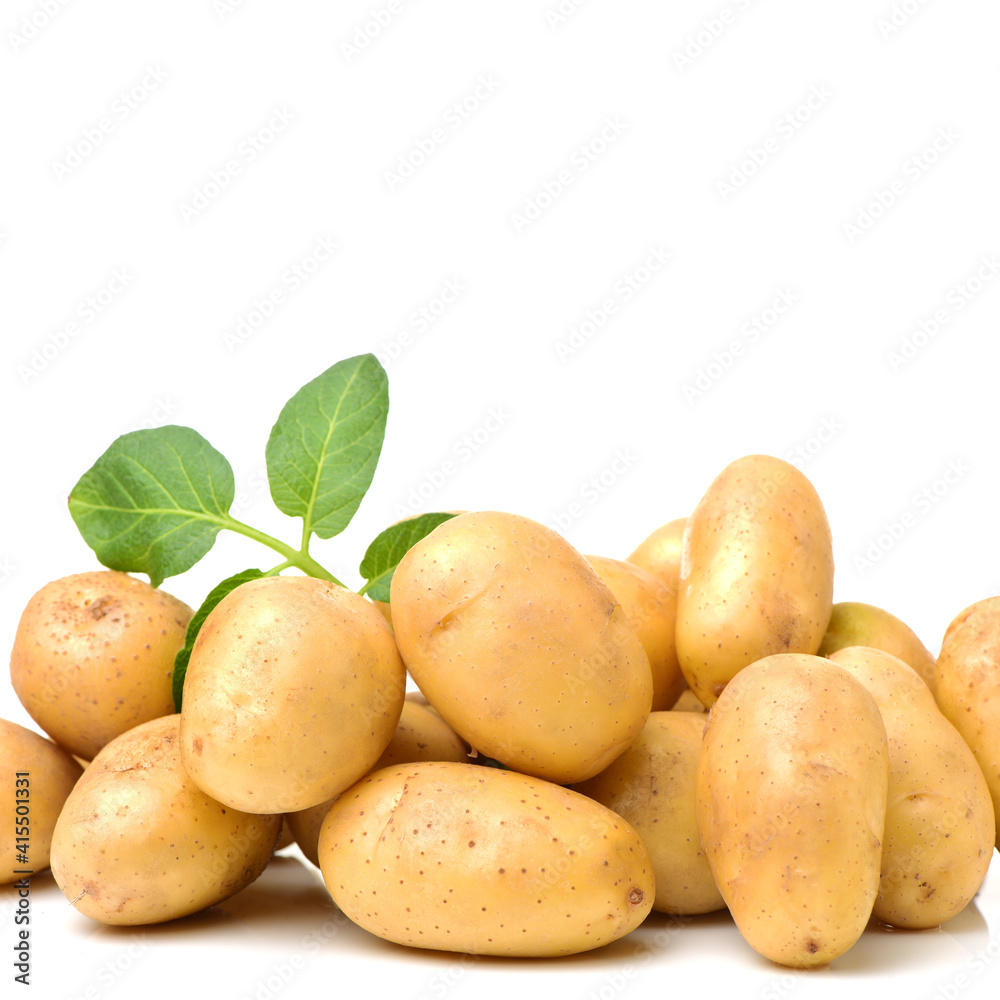 New potato isolated on white background New potato isolated on white background