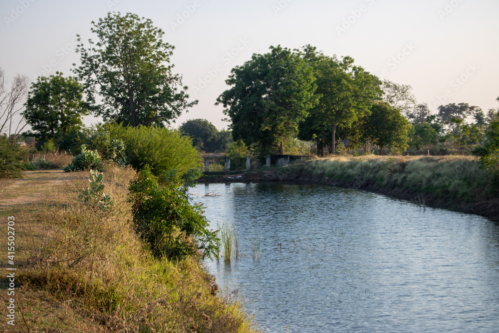 river in the forest