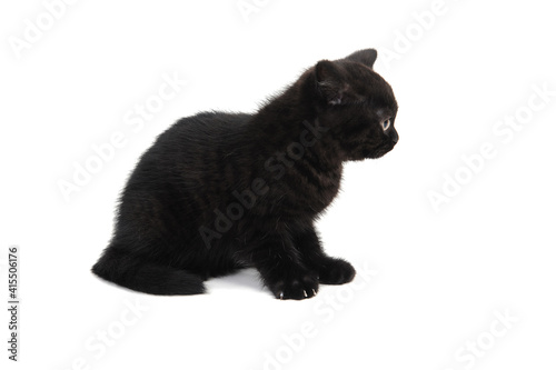 Black fluffy little kitten sitting on a white background