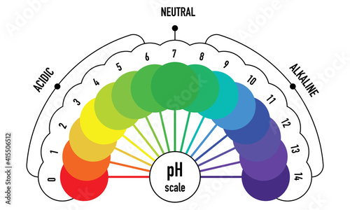 pH value scale chart for acid and alkaline solutions, acid-base balance infographic	