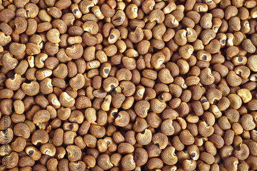 Ambrette Seed Background (Abelmoschus Moschatus).
