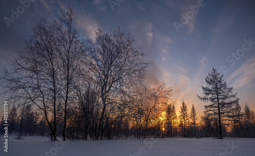 sunset in the forest © Andrey Snegirev