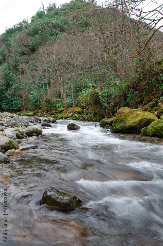 mountain river in the forest mountain river in the forest